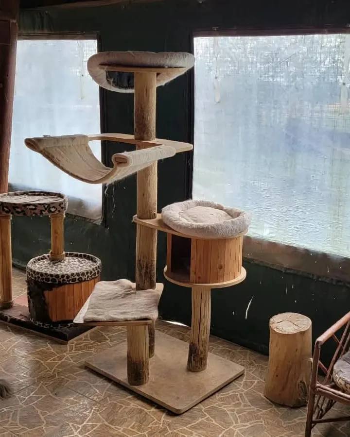 A tall log scratching tree with hammocks and round cat beds, beside a large window of clear plastic