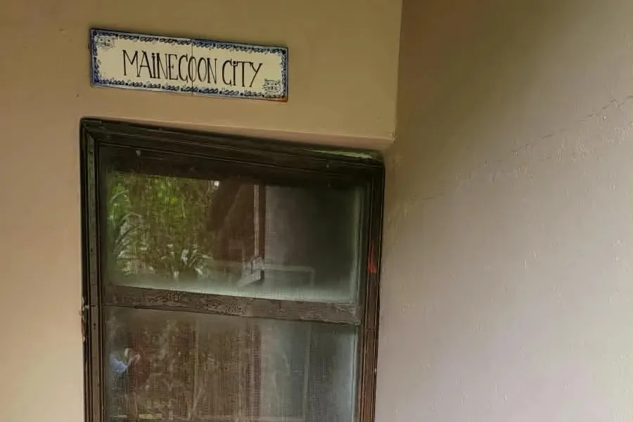 A wooden screen door with, above it, a sign of painted tiles that reads "Mainecoon City"