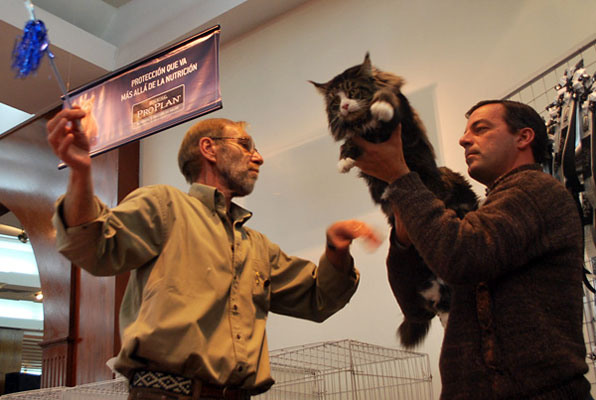 Tekanewas Silvermoon at the Buenos Aires show, 2009