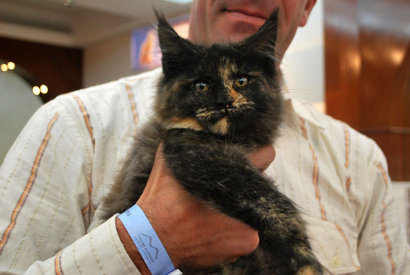 Carravogue at the Buenos Aires show, 2009
