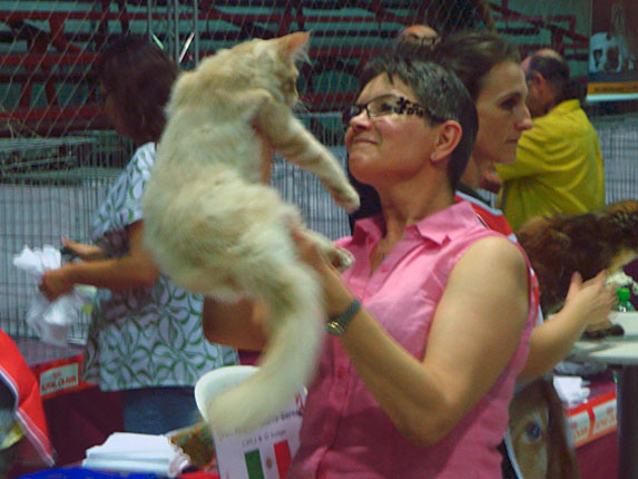 Falcon at the São Paulo show, 2010