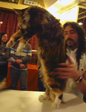 Luciernagas Eclypse at the Buenos Aires show, 2010