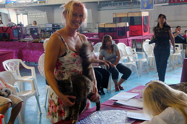 JustCoons Killer Queen at the Colonia show, 2011