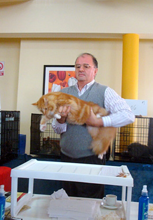 The cattery's cats at the Montevideo show, 2011