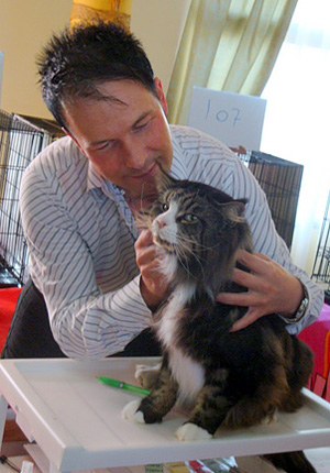 The cattery's cats at the Montevideo show, 2011