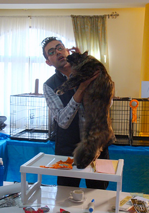 The cattery's cats at the Montevideo show, 2011