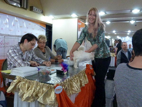 The cattery's cats at the Buenos Aires show, 2012