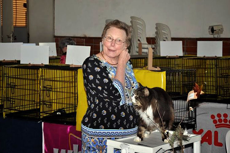 The cattery's cats at the Montevideo show, 2013