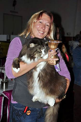 The cattery's cats at the Montevideo show, 2013