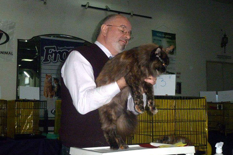The cattery's cats at the Montevideo show, 2013