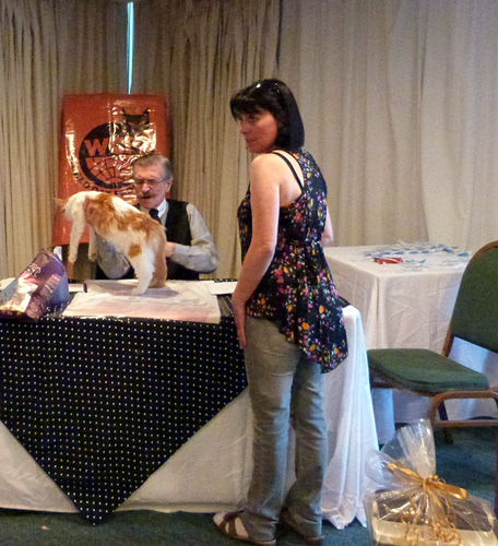 JustCoons Lux Lacey at the Montevideo show, 2014