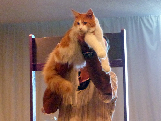 JustCoons Lux Lacey at the Montevideo show, 2014