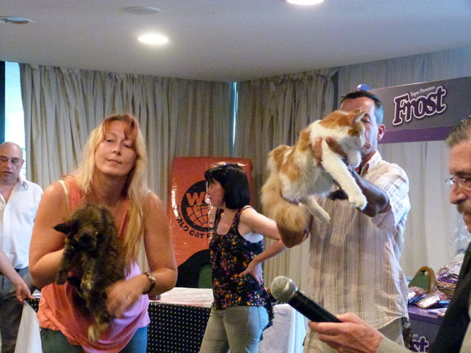 JustCoons Lil' Marleen at the Montevideo show, 2014