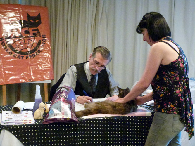 JustCoons Lil' Marleen at the Montevideo show, 2014
