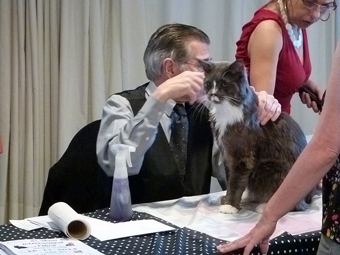 JustCoons Pas de Deux at the Montevideo show, 2014