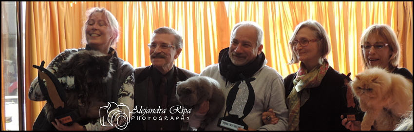 The cattery's cats at the Colonia show, 2015
