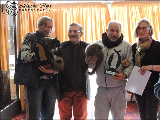 The cattery's cats at the Colonia show, 2015