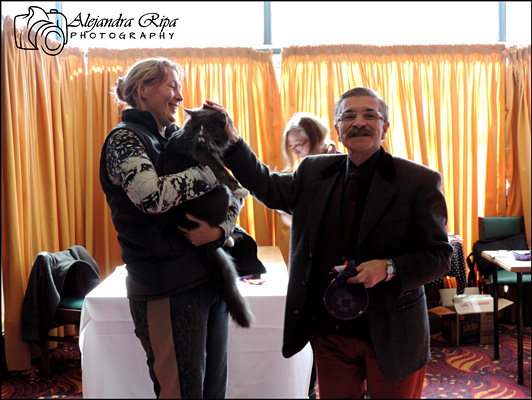 The cattery's cats at the Colonia show, 2015