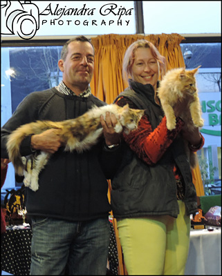 The cattery's cats at the Colonia show, 2015