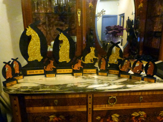The cattery's cats at the Colonia show, 2015