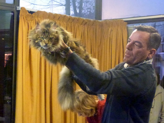 The cattery's cats at the Colonia show, 2015