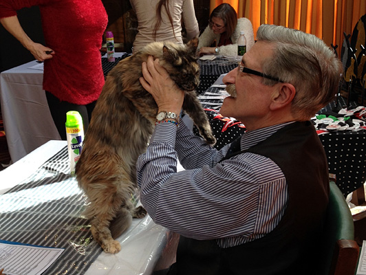 The cattery's cats at the Colonia show, 2015