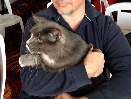 The cattery's cats at the Colonia show, 2015
