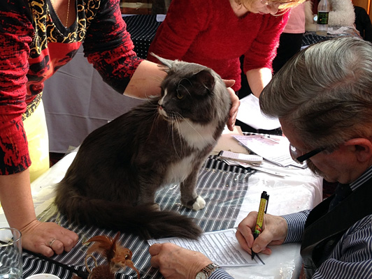 The cattery's cats at the Colonia show, 2015