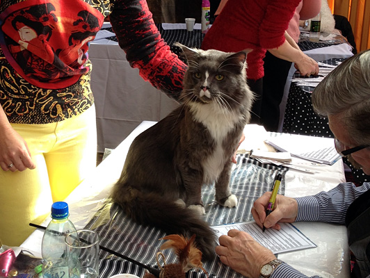 The cattery's cats at the Colonia show, 2015