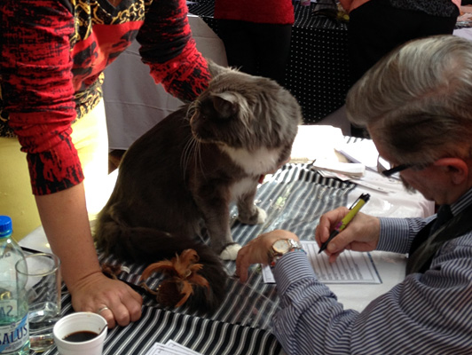 The cattery's cats at the Colonia show, 2015