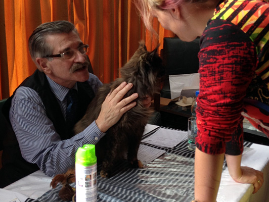The cattery's cats at the Colonia show, 2015