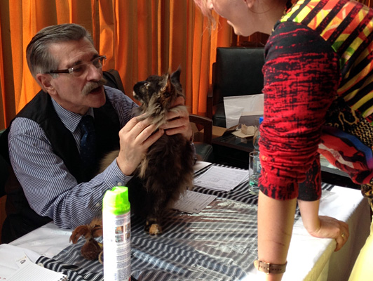 The cattery's cats at the Colonia show, 2015