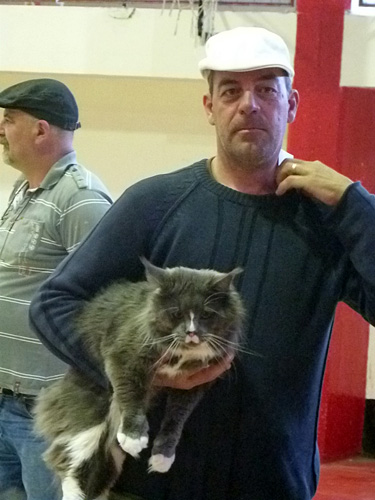 The cattery's cats at the Mar del Plata show, 2015
