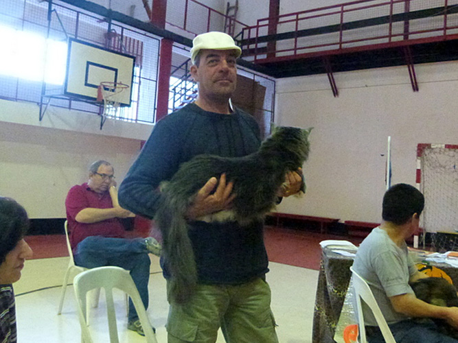The cattery's cats at the Mar del Plata show, 2015