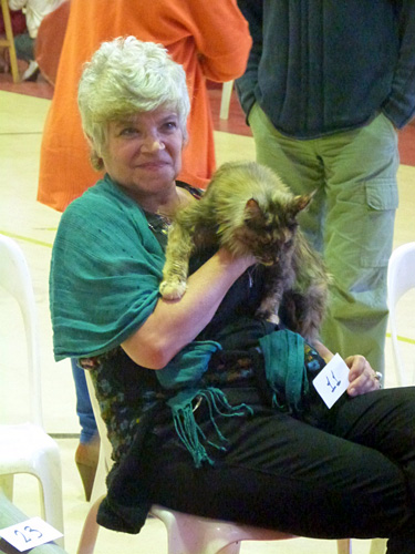 The cattery's cats at the Mar del Plata show, 2015