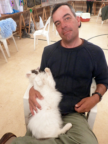 The cattery's cats at the Mar del Plata show, 2015