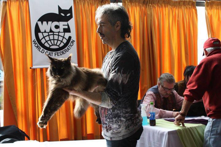 JustCoons Killer Queen at the Colonia show, 2016