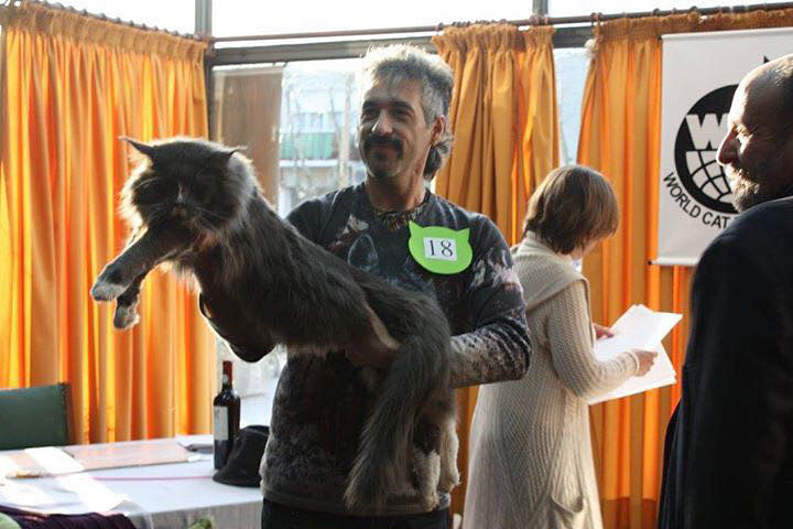 JustCoons Pas de Deux at the Colonia show, 2016