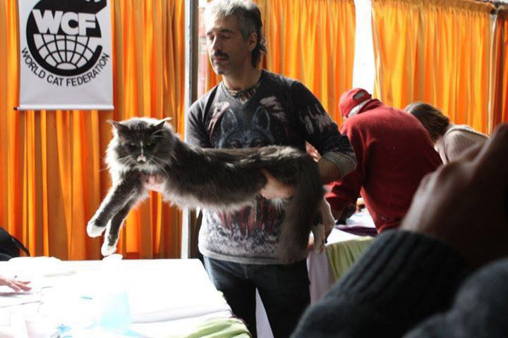 JustCoons Pas de Deux at the Colonia show, 2016