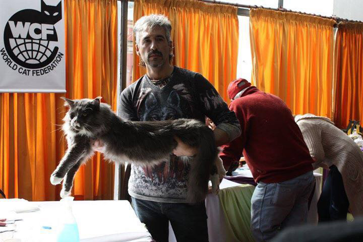 JustCoons Pas de Deux at the Colonia show, 2016