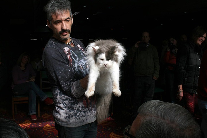 JustCoons Lux Groovy at the Colonia show, 2016