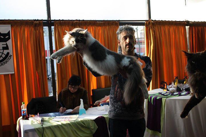 JustCoons Lux Groovy at the Colonia show, 2016
