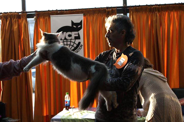 JustCoons Lux Groovy at the Colonia show, 2016