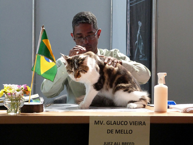 JustCoons Tech No at the Buenos Aires show, 2017