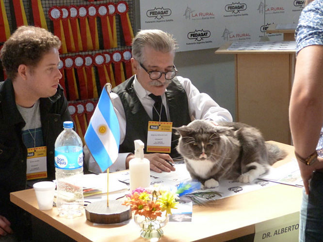 JustCoons Pas de Deux at the Buenos Aires show, 2017