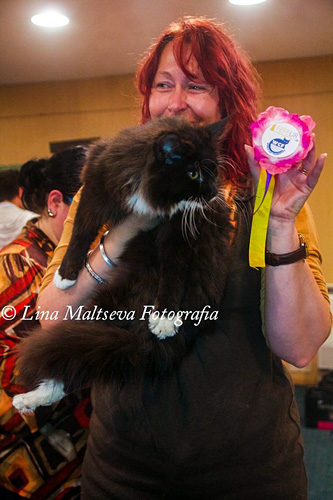 Luciernagas Escapada at the Montevideo show, 2017