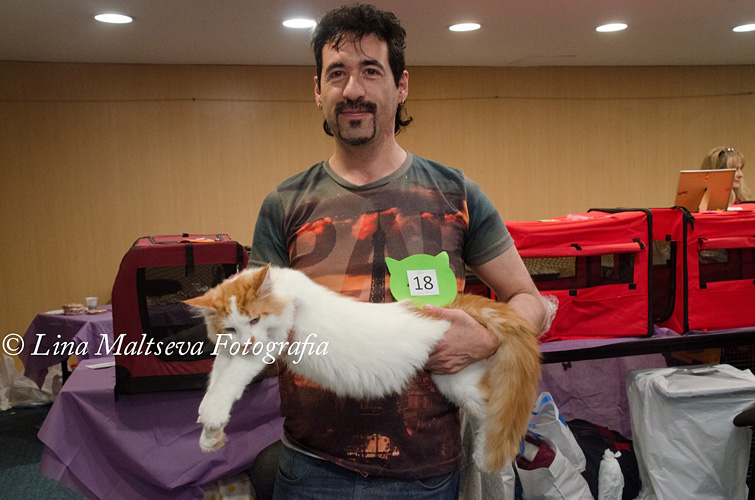 Luciernagas Hindu at the Montevideo show, 2017