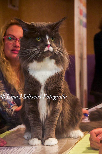 JustCoons Pas de Deux at the Montevideo show, 2017