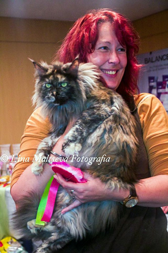 BR* Gugatto Rapanui at the Montevideo show, 2017