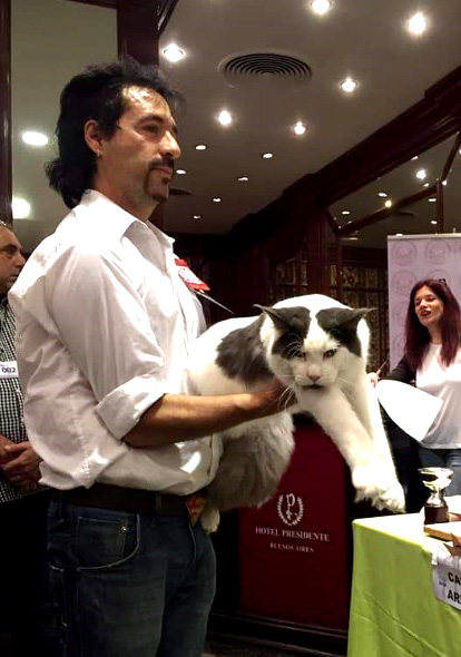 JustCoons Ulysses at the Buenos Aires show, 2019